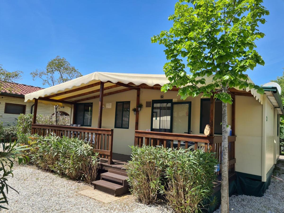 Chalet La Dolce Vita فياريجيو المظهر الخارجي الصورة